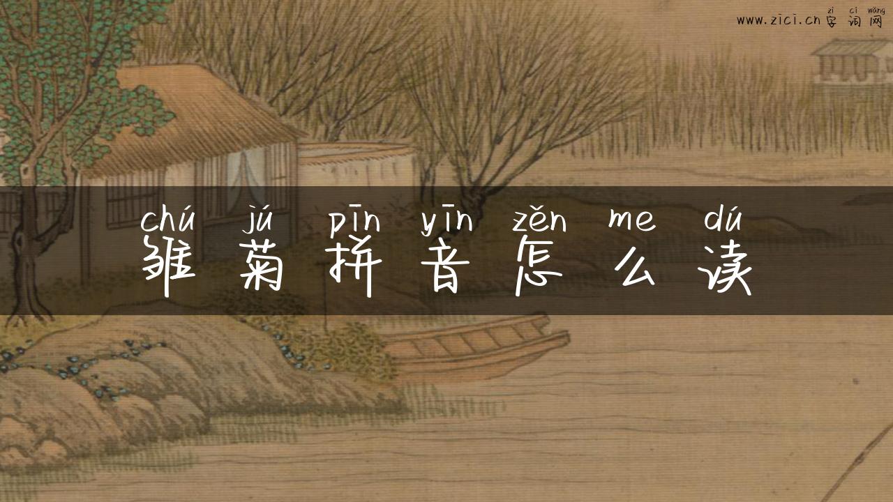 雏菊拼音怎么读