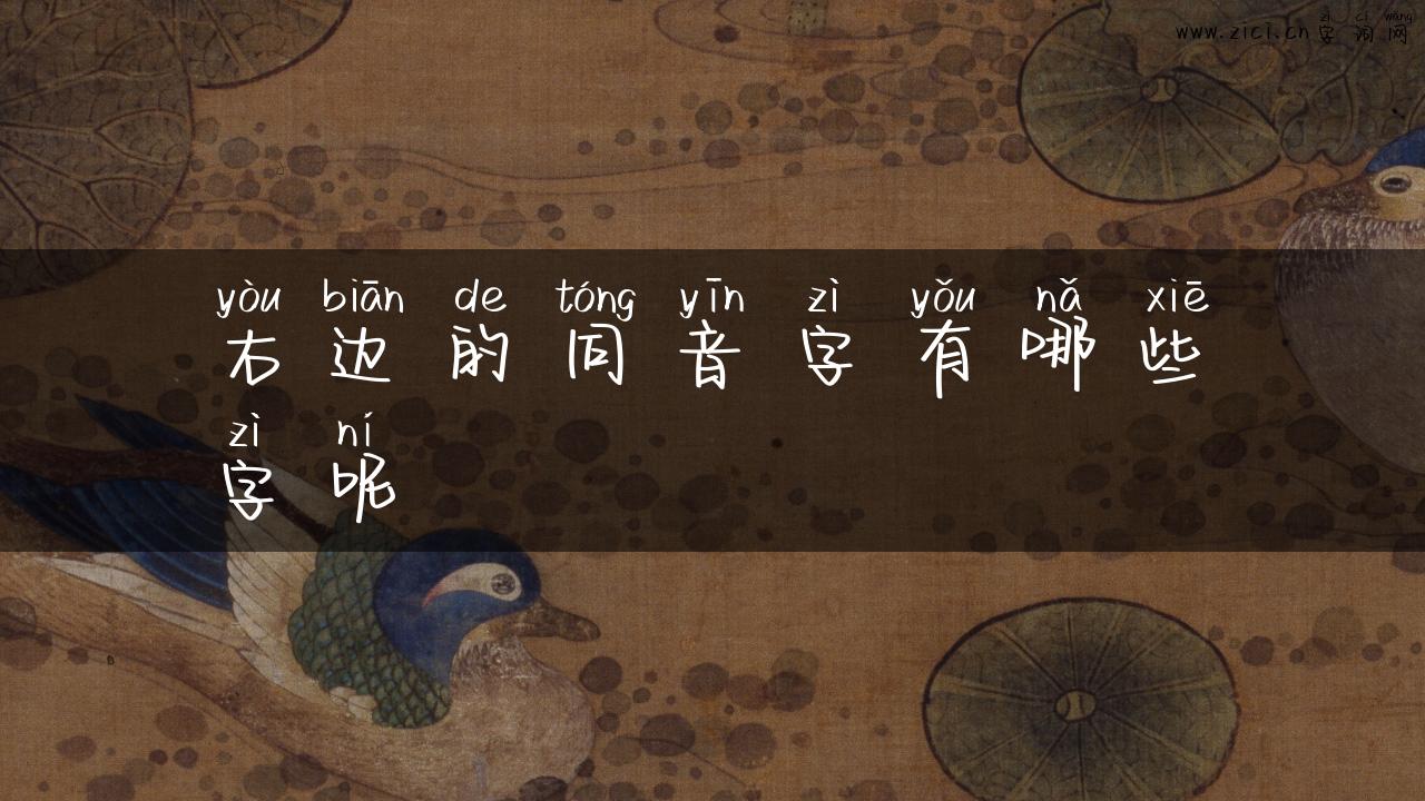 右边的同音字有哪些字呢