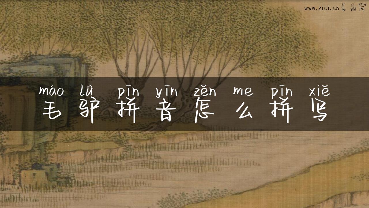 毛驴拼音怎么拼写