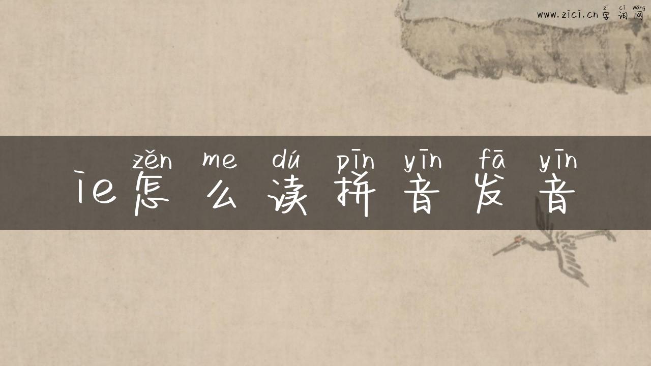 ie怎么读拼音发音