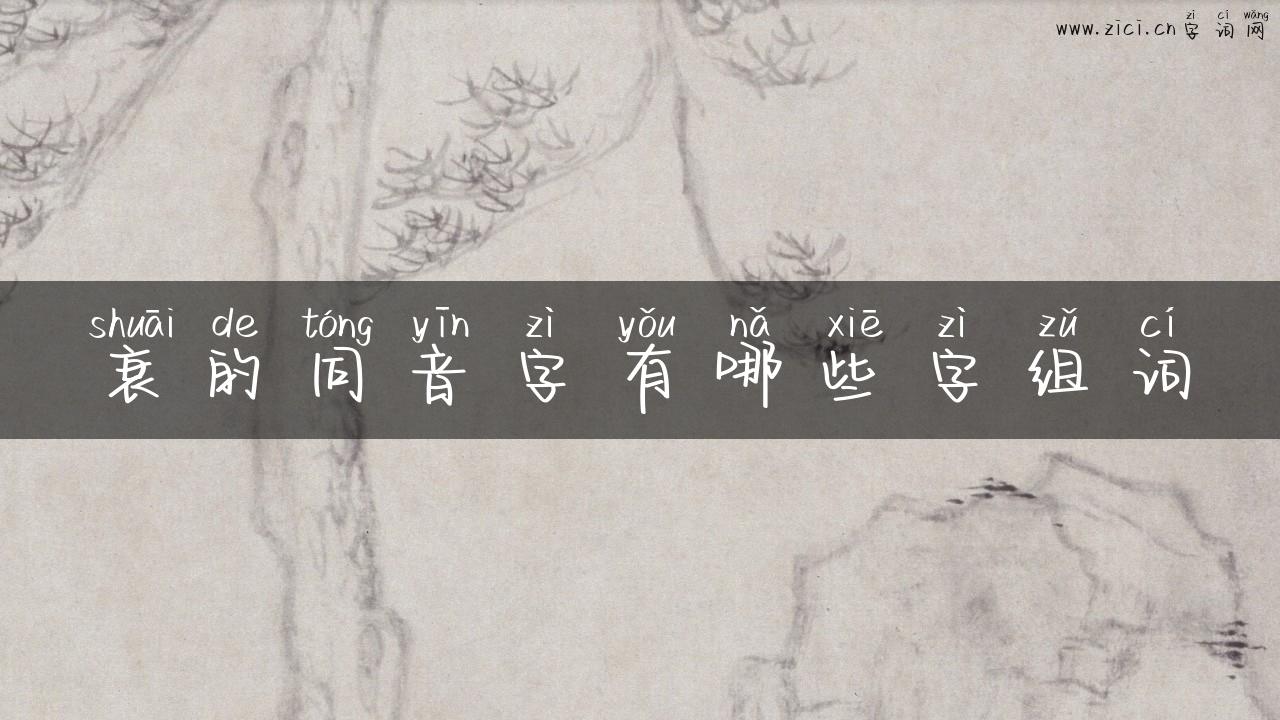 衰的同音字有哪些字组词