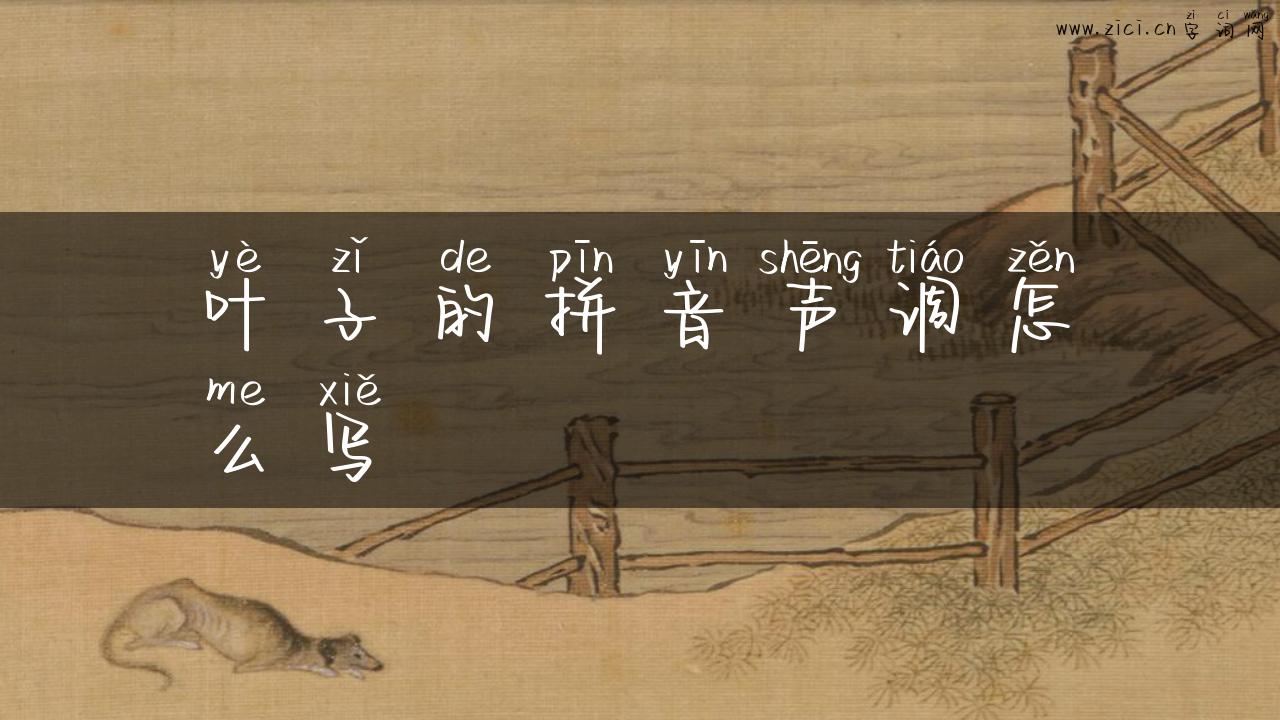 叶子的拼音声调怎么写