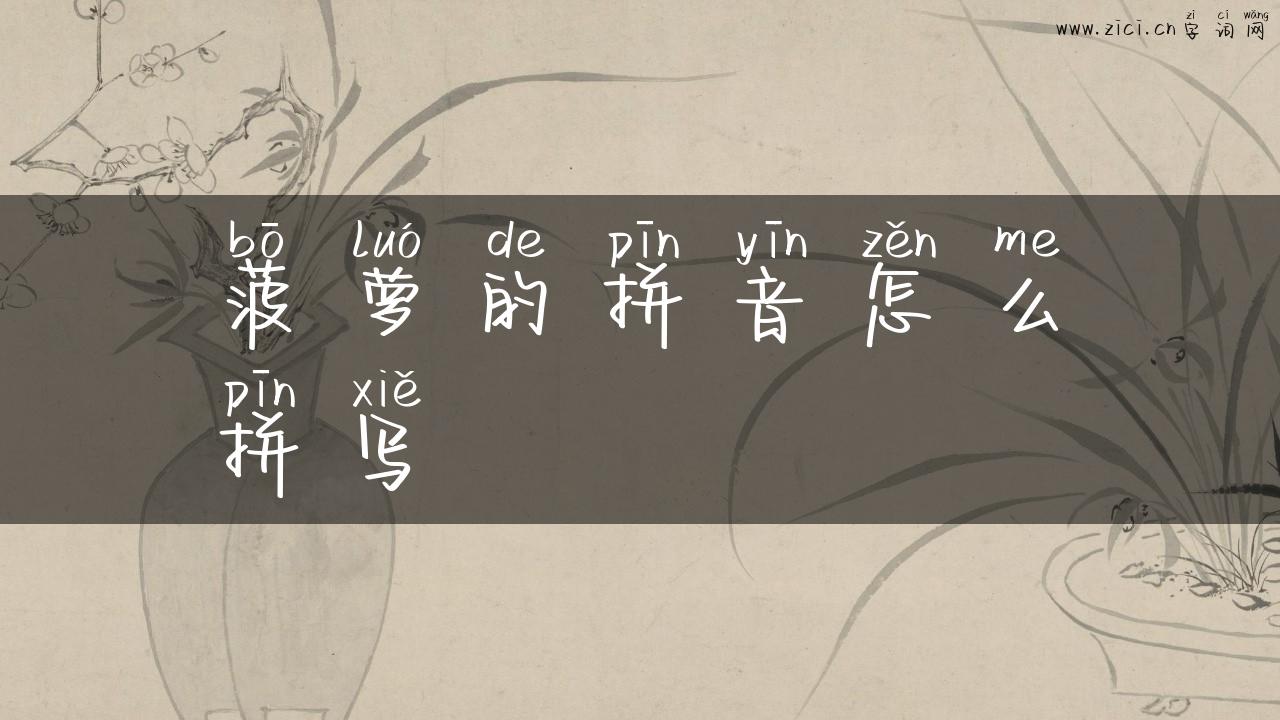 菠萝的拼音怎么拼写