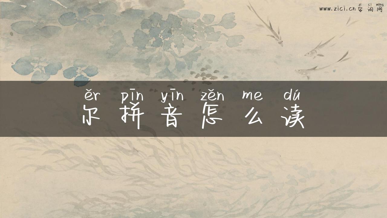 尔拼音怎么读