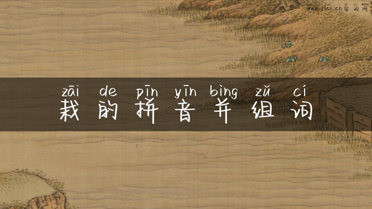 栽的拼音并组词