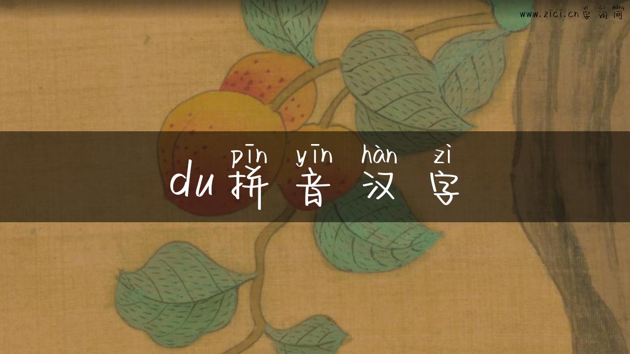 du拼音汉字