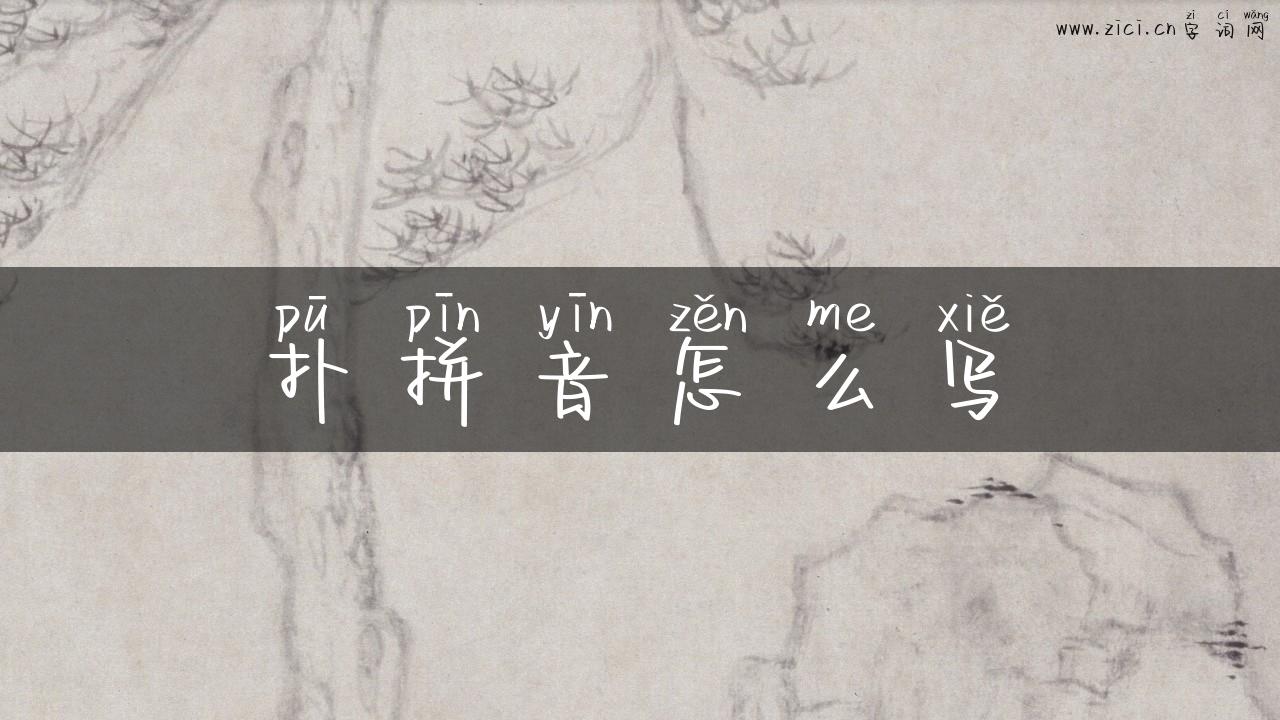 扑拼音怎么写
