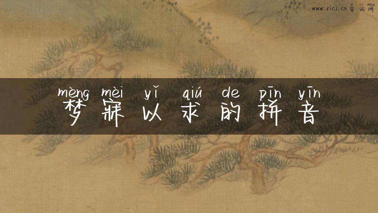 梦寐以求的拼音