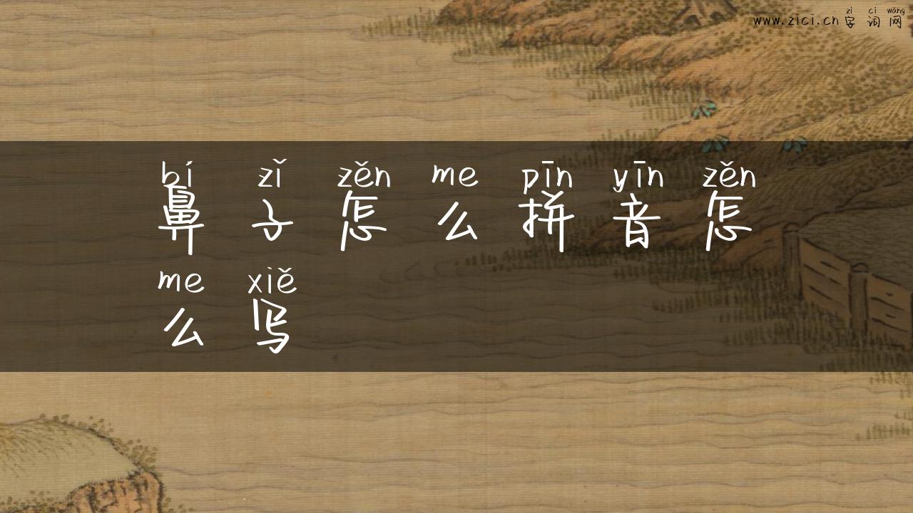 鼻子怎么拼音怎么写