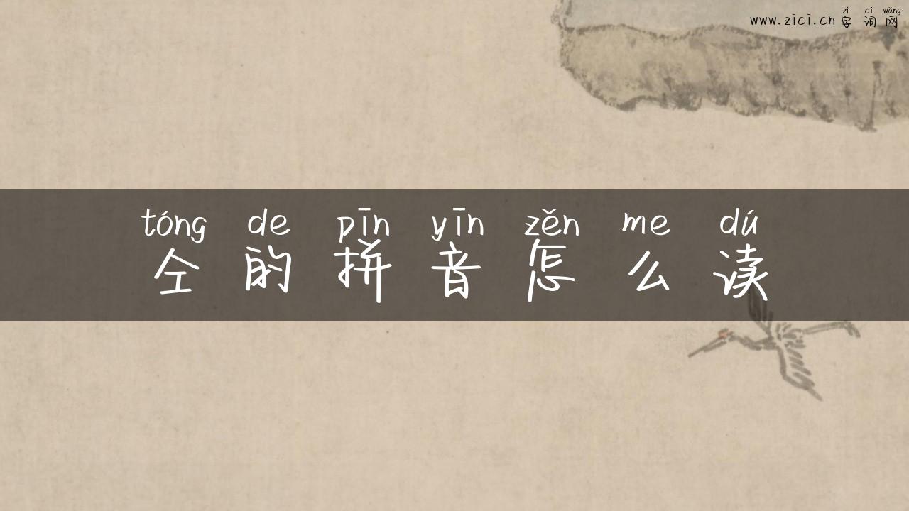 仝的拼音怎么读