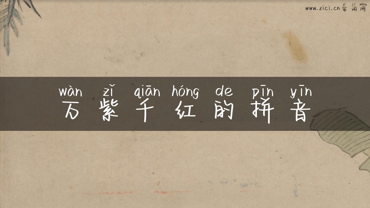万紫千红的拼音