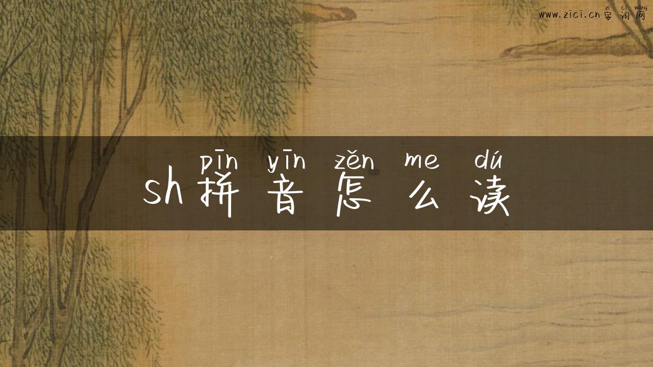 sh拼音怎么读
