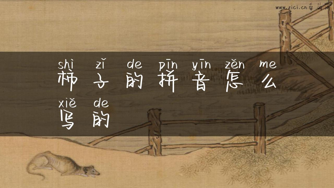 柿子的拼音怎么写的