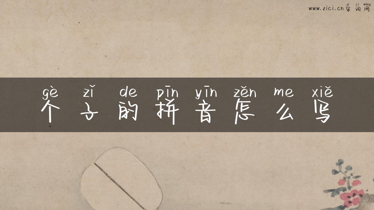 个子的拼音怎么写