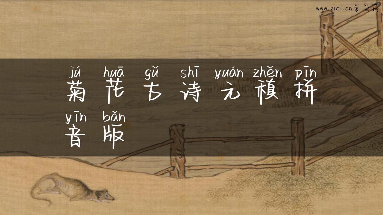 菊花古诗元稹拼音版