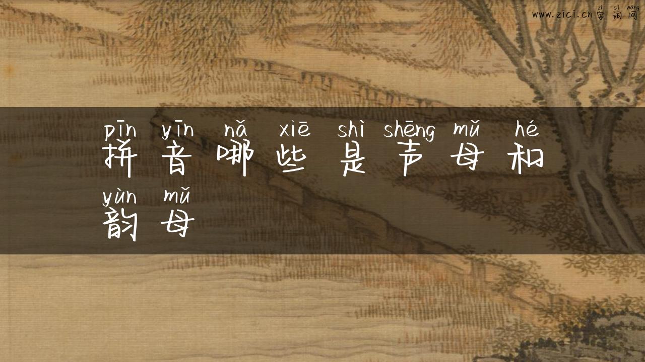 拼音哪些是声母和韵母