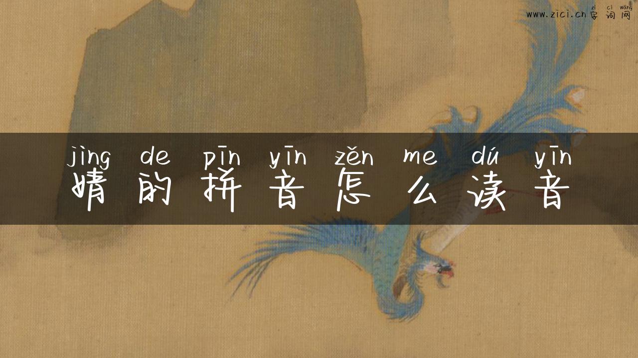 婧的拼音怎么读音