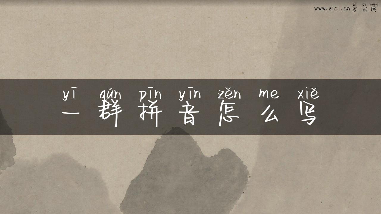 一群拼音怎么写