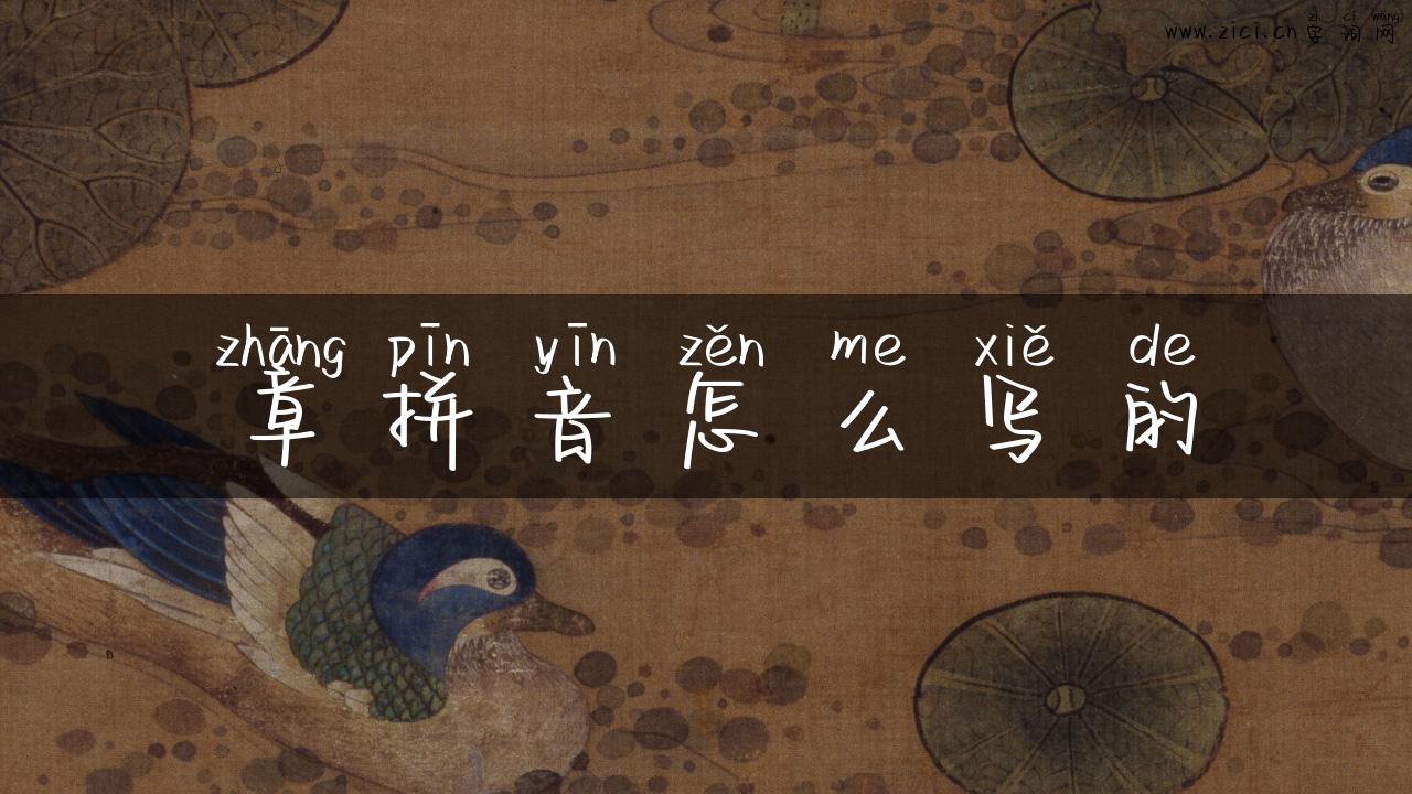 章拼音怎么写的