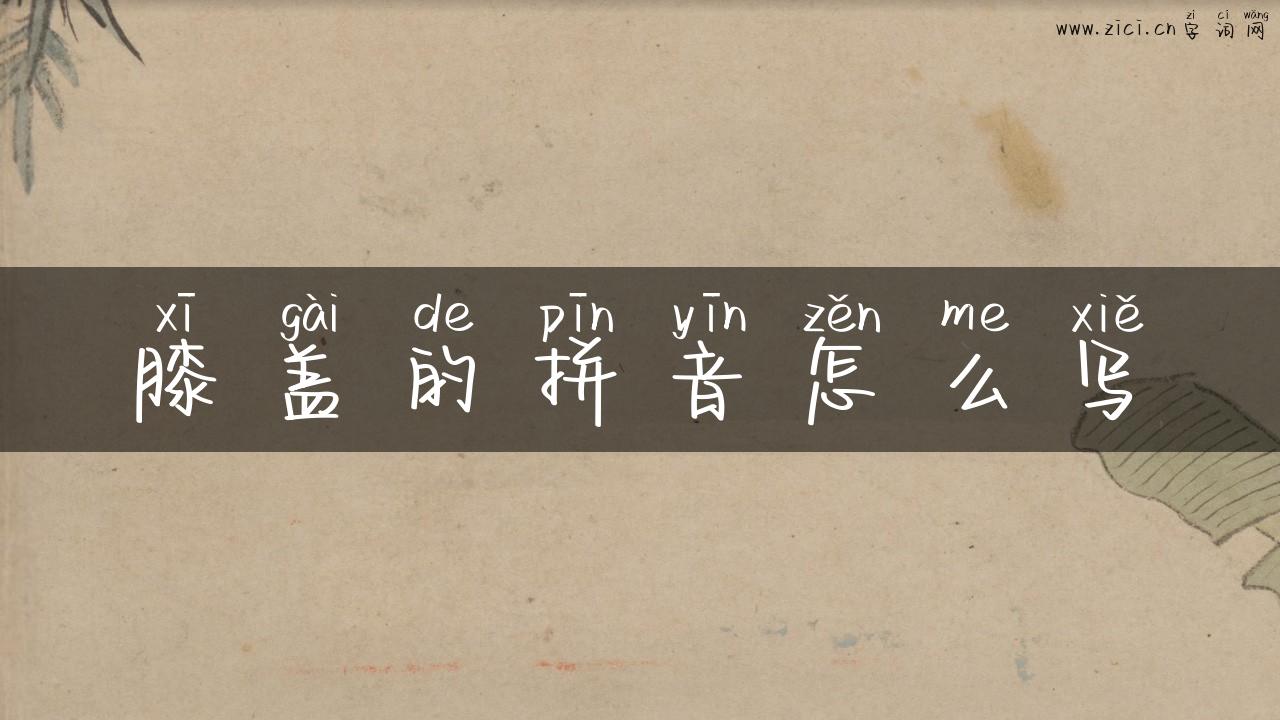 膝盖的拼音怎么写