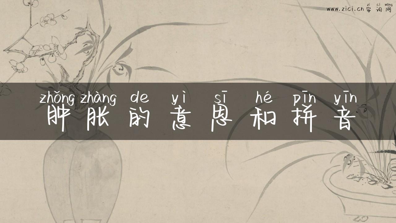 肿胀的意思和拼音