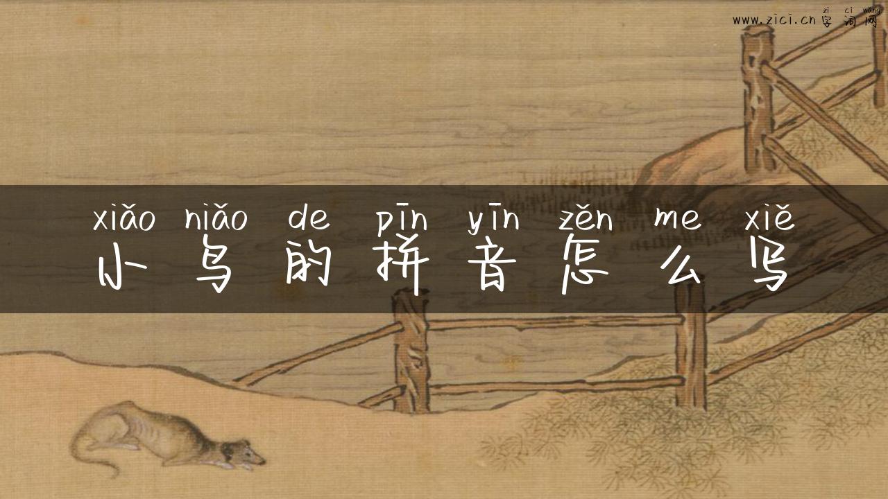 小鸟的拼音怎么写