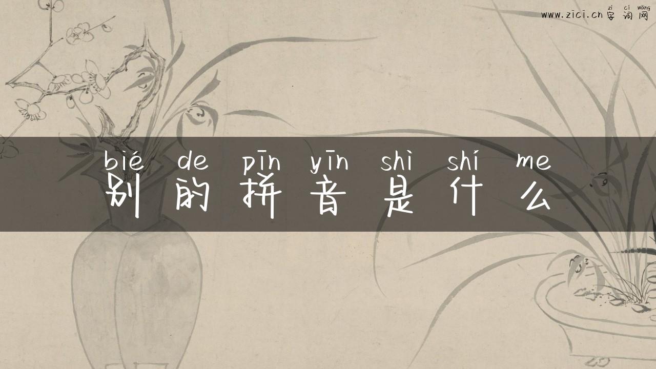 别的拼音是什么