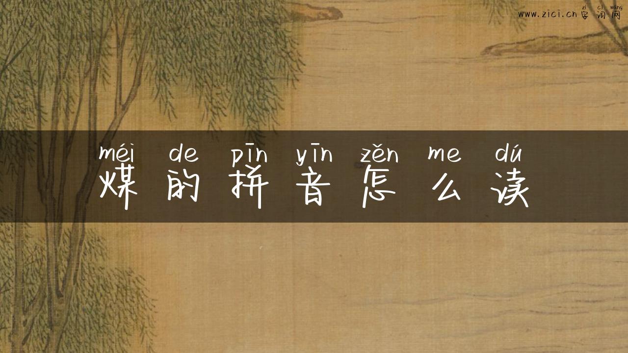 煤的拼音怎么读