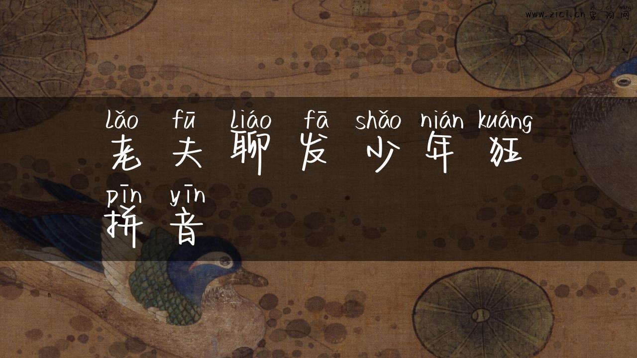 老夫聊发少年狂拼音