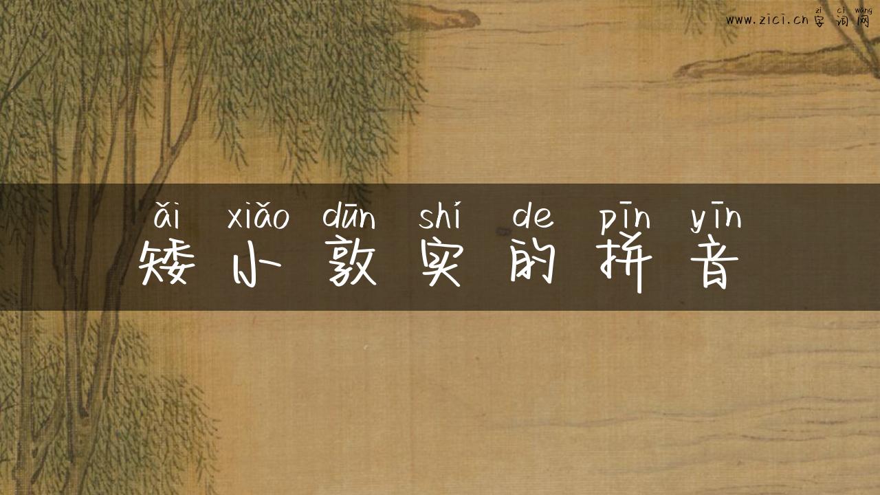 矮小敦实的拼音