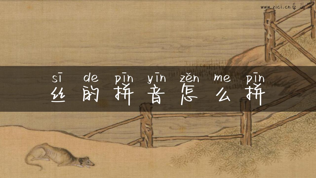 丝的拼音怎么拼