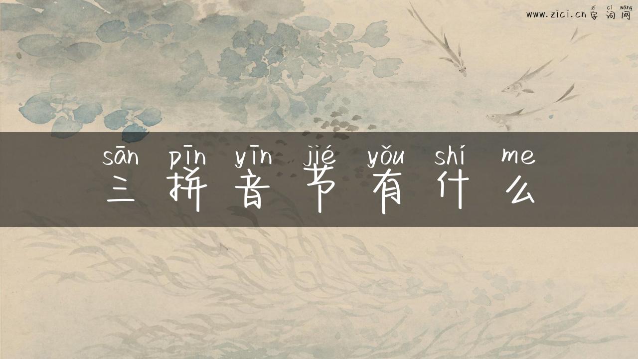 三拼音节有什么