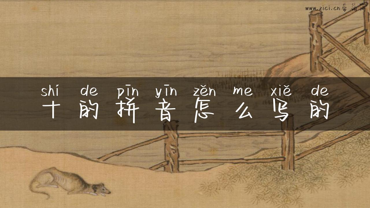 十的拼音怎么写的