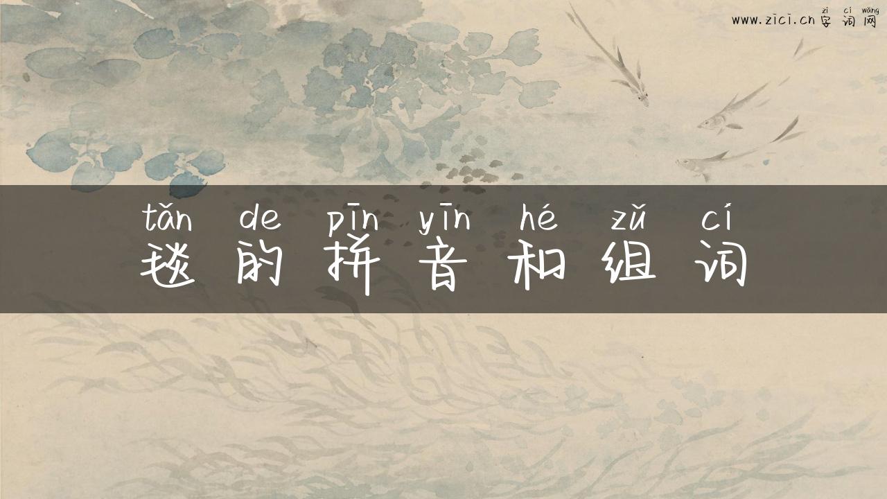 毯的拼音和组词