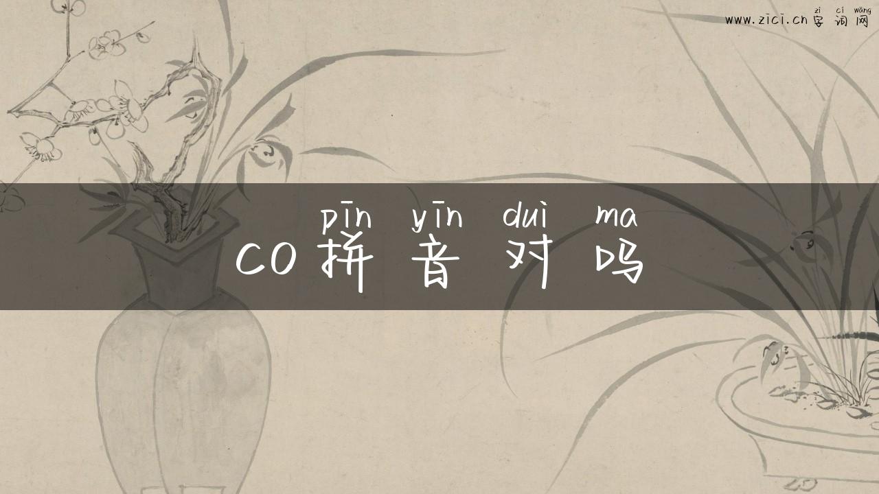 co拼音对吗