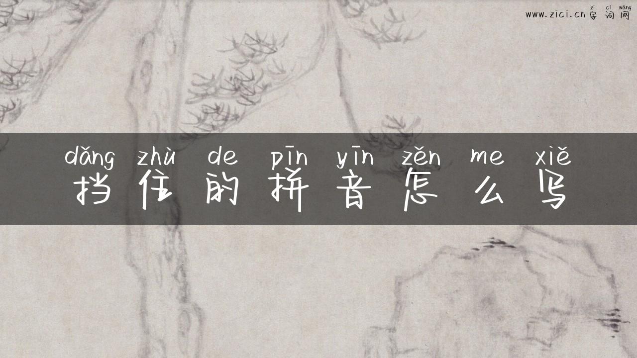 挡住的拼音怎么写