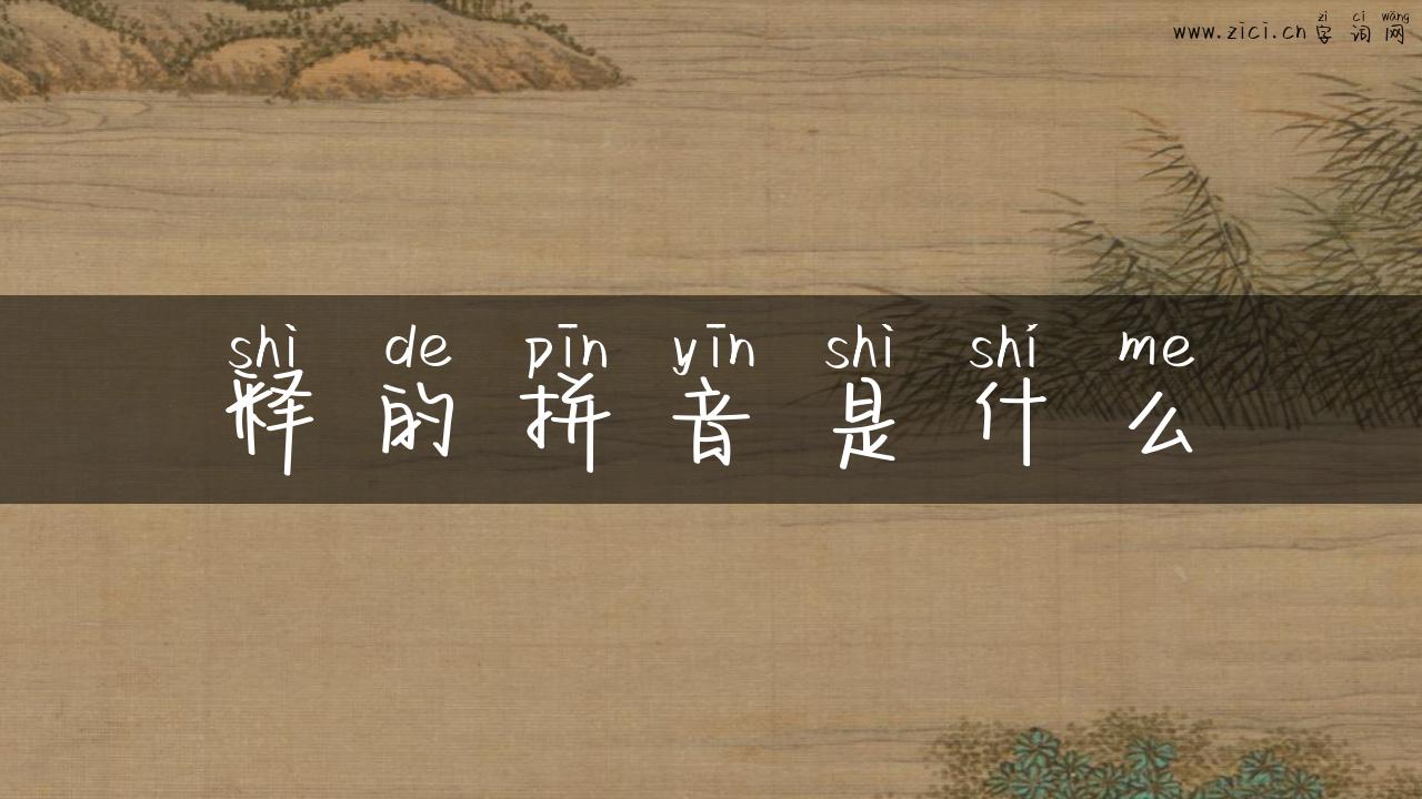 释的拼音是什么