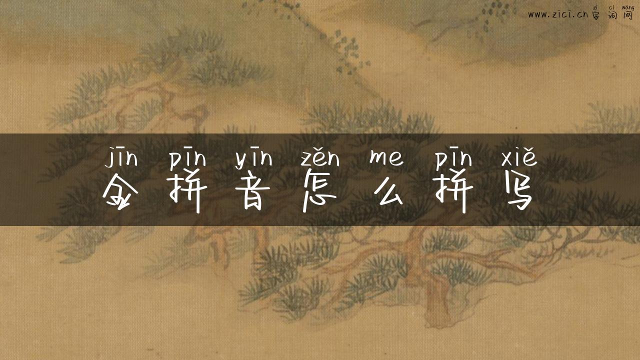 金拼音怎么拼写