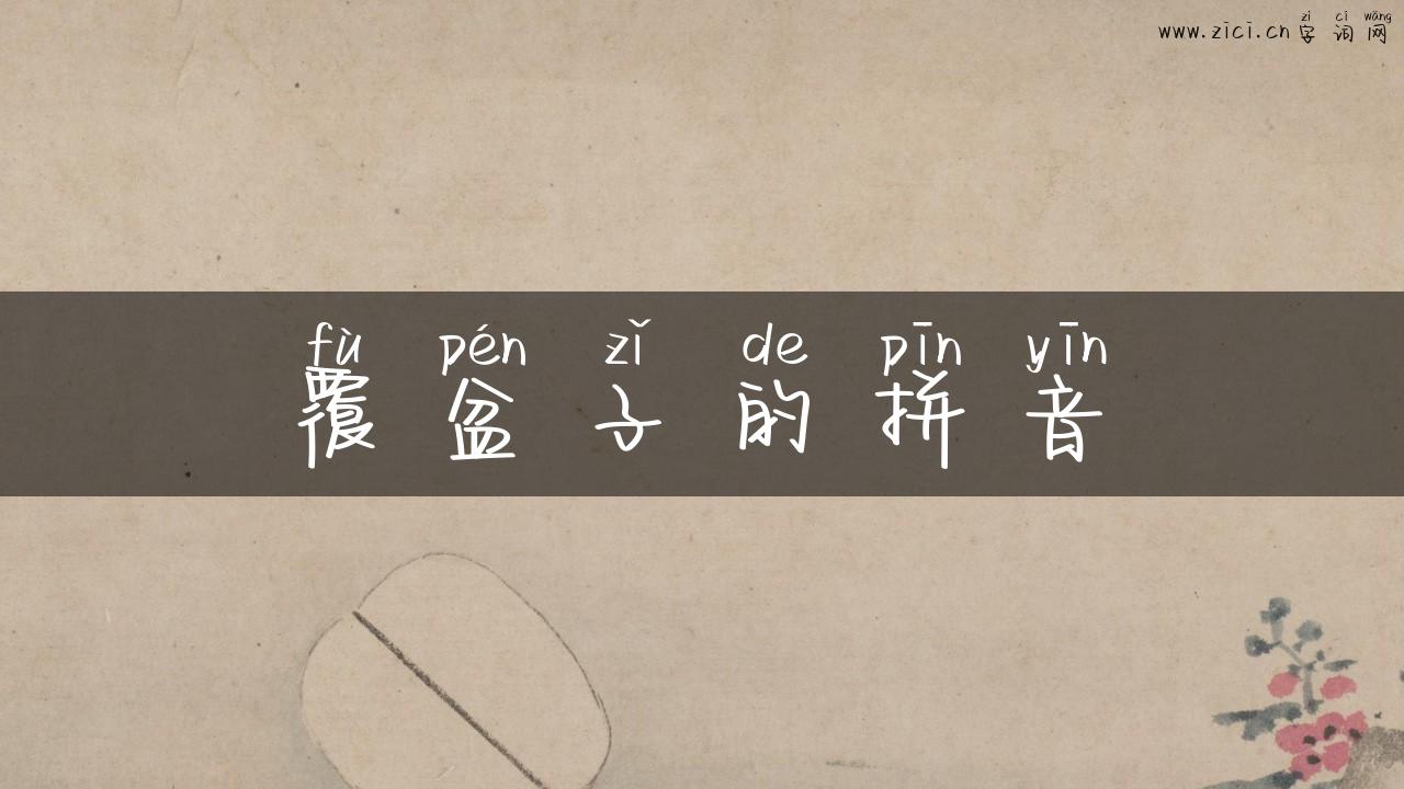 覆盆子的拼音