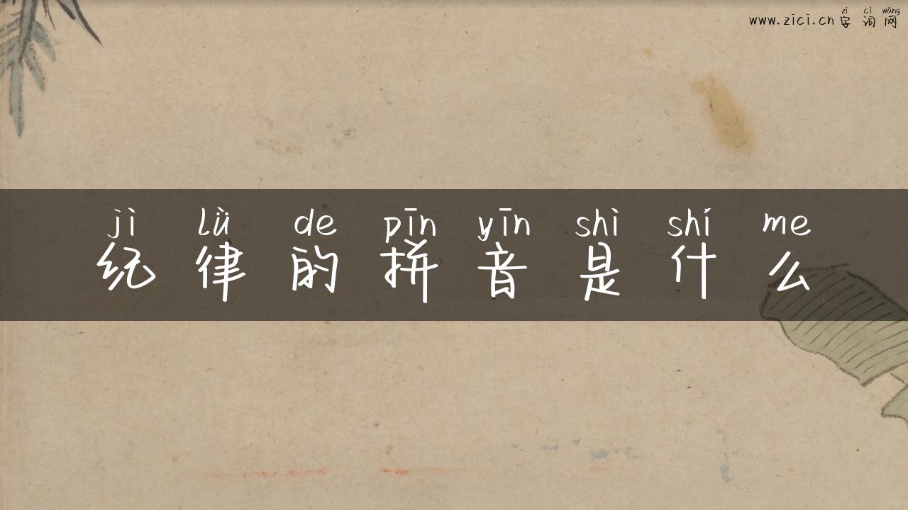 纪律的拼音是什么