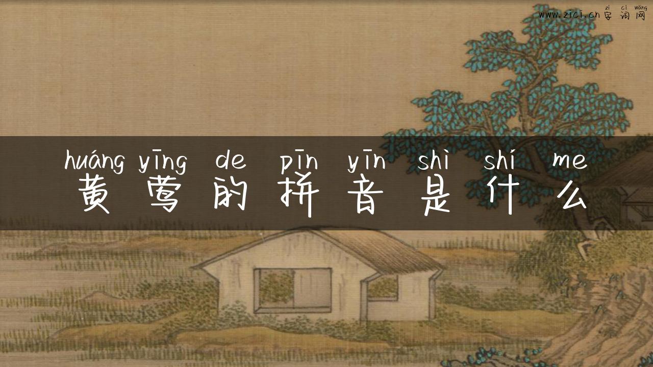 黄莺的拼音是什么