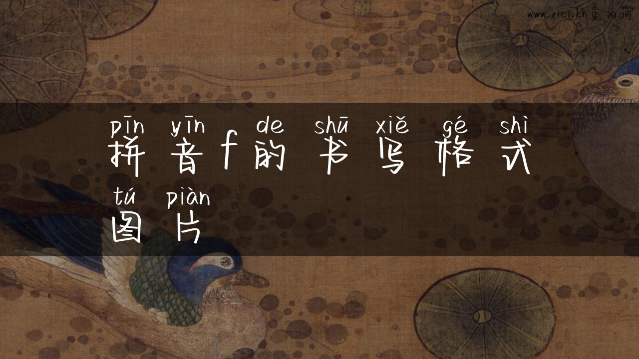 拼音f的书写格式图片