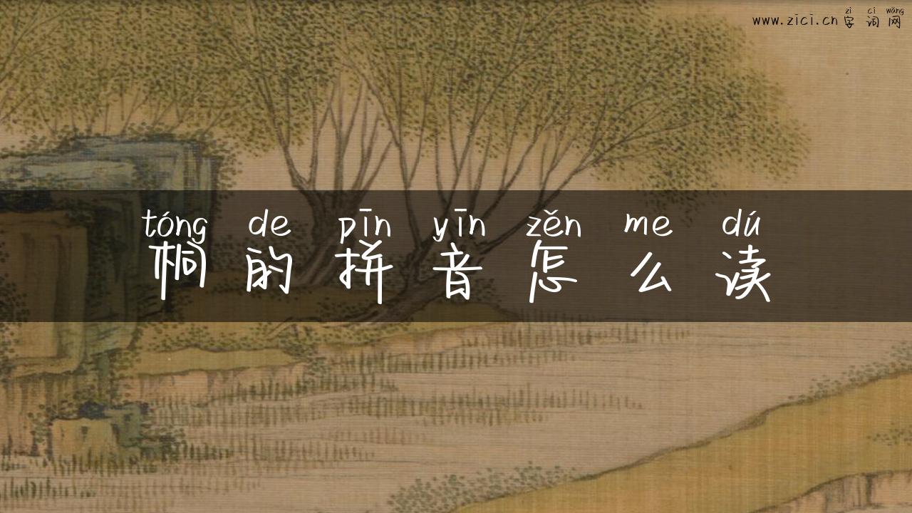 桐的拼音怎么读