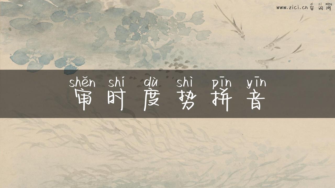审时度势拼音