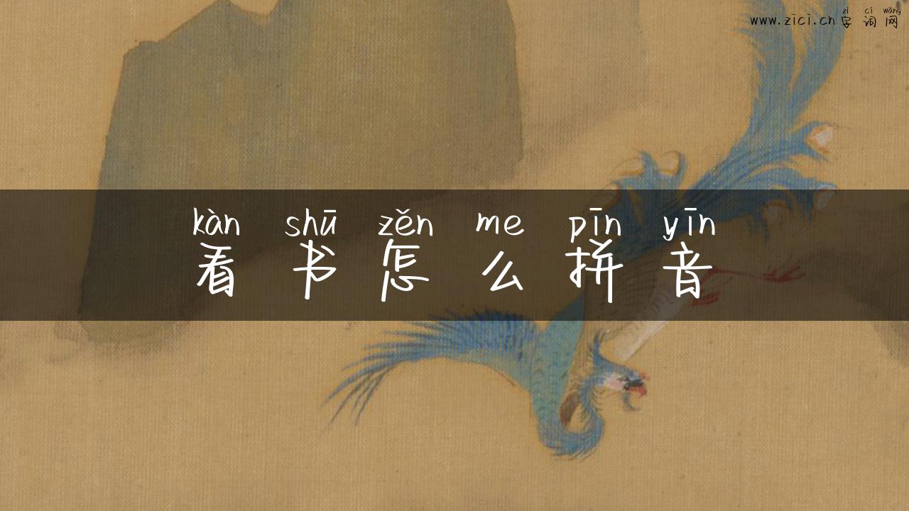 看书怎么拼音