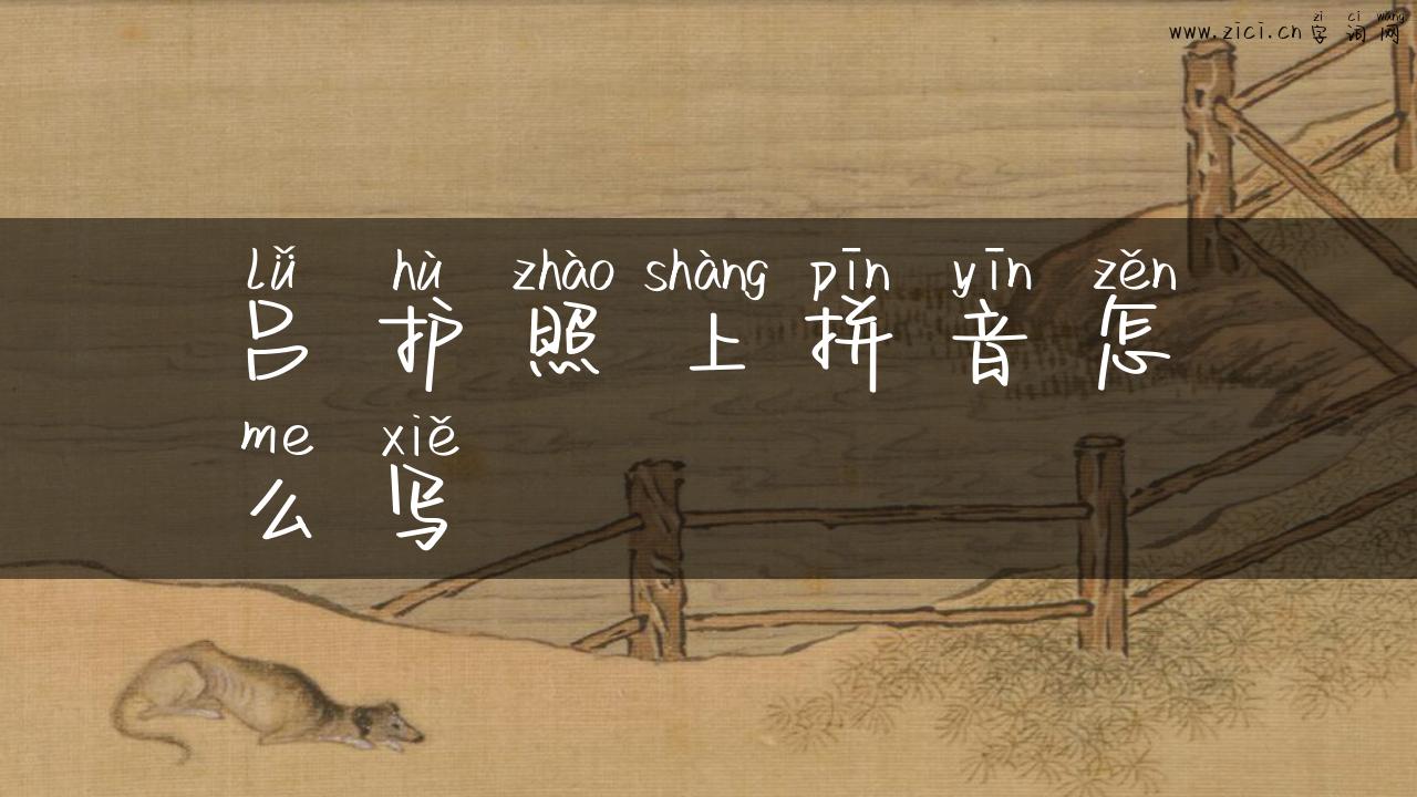 吕护照上拼音怎么写