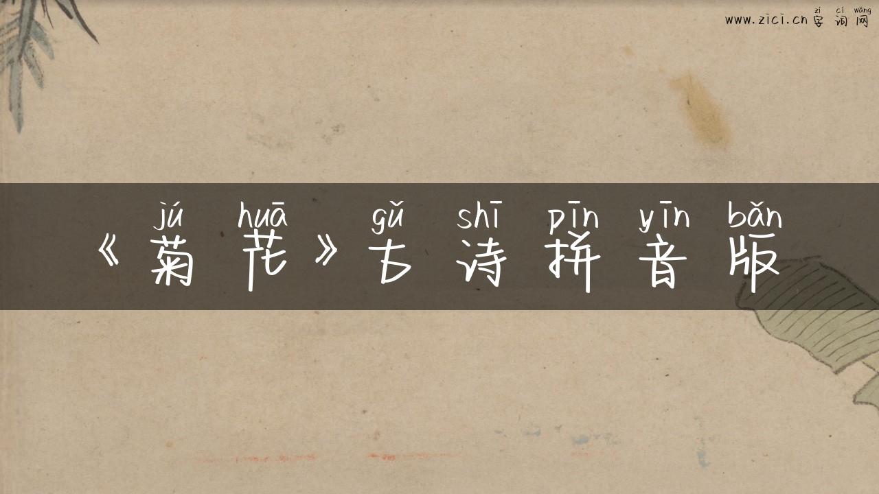 《菊花》古诗拼音版