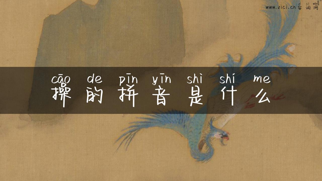操的拼音是什么