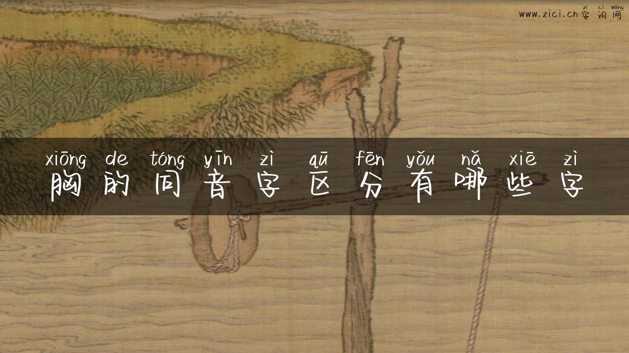 胸的同音字区分有哪些字