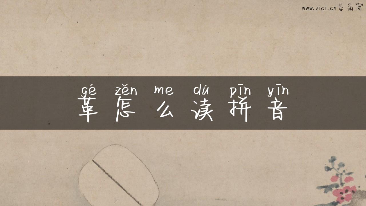 革怎么读拼音
